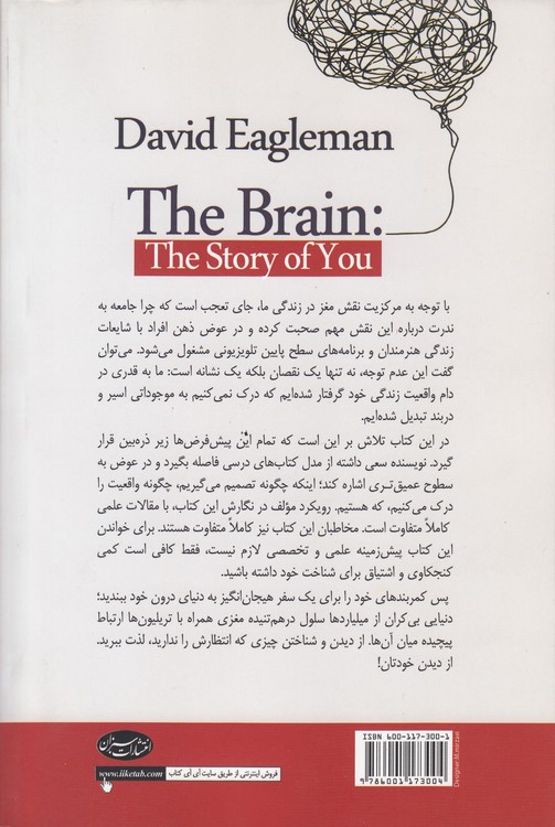 مغز زندگی ما چگونه شکل می‌گیرد