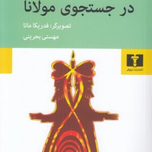در جستجوی مولانا