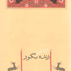 زنده بگور (مجموعه آثار صادق هدایت ۳)