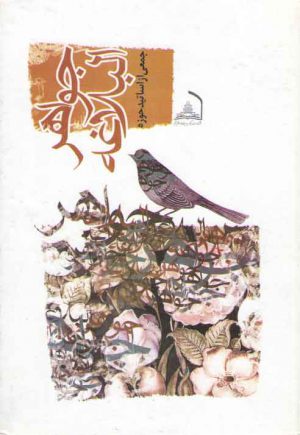 جواهر البلاغه (متن درسی)