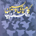 گام های پسین در فلسفه برین (گام مبانی)