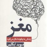 مغز زندگی ما چگونه شکل می‌گیرد