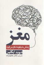 مغز زندگی ما چگونه شکل می‌گیرد