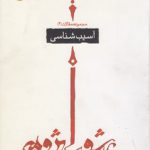 مجموعه مقالات عاشوراپژوهی (جلد ۲) : آسیب‌شناسی (کد ۱۷۹)