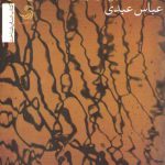 سرمه کشیدن یا کور کردن (یادداشت هایی درباره جامعه شناسی حقوق)