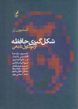 شکل‌گیری حافظه از مولکول تا ذهن