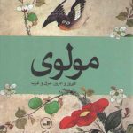 مولوی (دیروز و امروز، شرق و غرب)