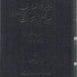 دایره‌المعارف بین‌المللی انتخابات