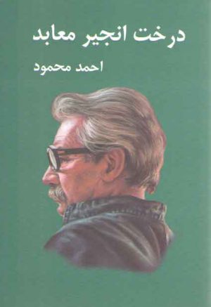 درخت انجیر معابد (۲ جلدی)