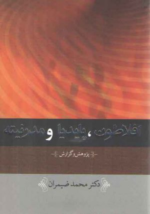 افلاطون، پایدیا و مدرنیته