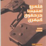 قلمرو امنیت در حقوق کیفری