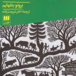 افسون افسانه‌ها