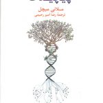 سیری در نظریه پیچیدگی