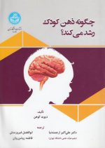 چگونه ذهن کودک رشد می‌کند؟