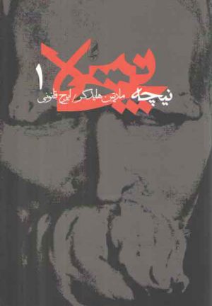 نیچه (جلد ۱)