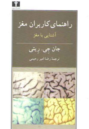 راهنمای کاربران مغز؛ آشنایی با مغز
