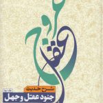 عروج عقل (جلد ۲)؛ شرح حدیث جنود عقل و جهل