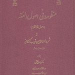 منظومه فی اصول الفقه؛ اصول فقه منظوم