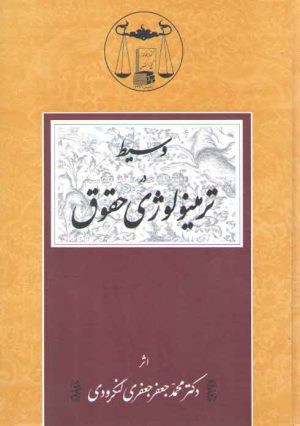 وسیط در ترمینولوژی حقوق