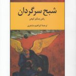 شبح سرگردان