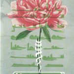 مسئولیت مدنی در قرآن