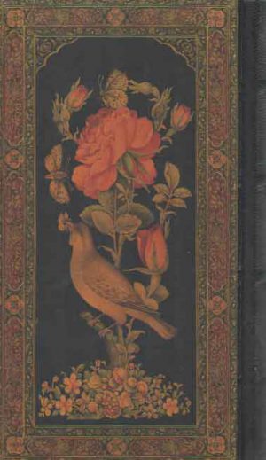 مثنوی معنوی (پالتویی)