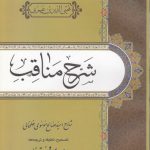 شرح مناقب ابن عربی