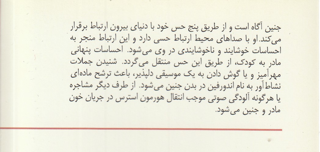 کتاب کوچک آرامش جنین؛ نگاه دیگر به عالم ناشناخته جنین