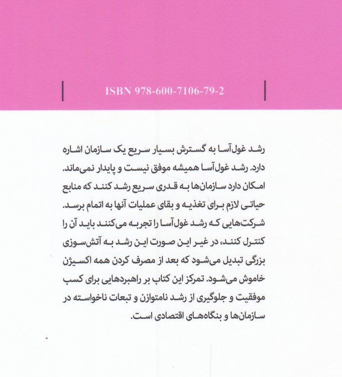 راهبردهای رشد غول‌آسا