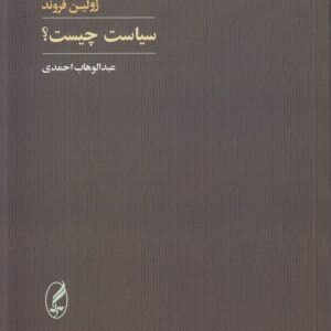 سیاست چیست