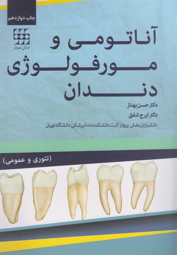آناتومی و مورفولوژی دندان