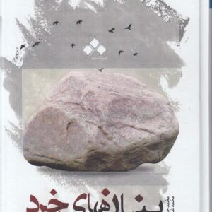 بنیان‌های خرد و اقتصاد کلان