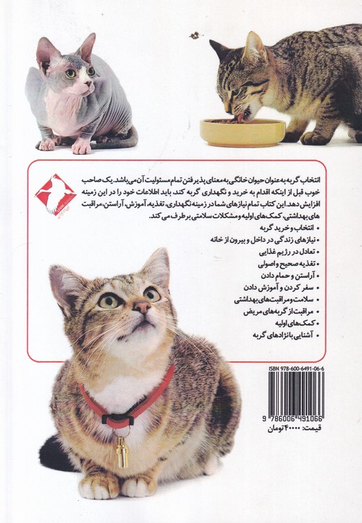 گربه؛ راهنمای کامل نگهداری آموزش و نژادها