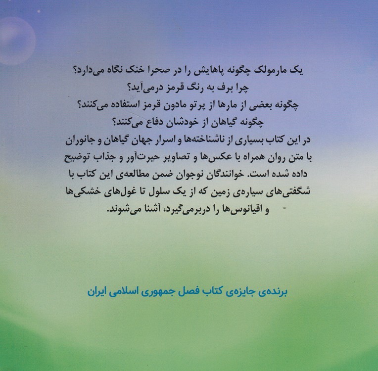 طبیعت اسرارآمیز؛ مصور رنگی