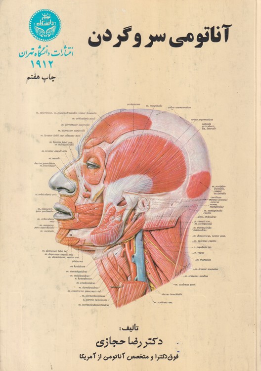آناتومی سر و گردن