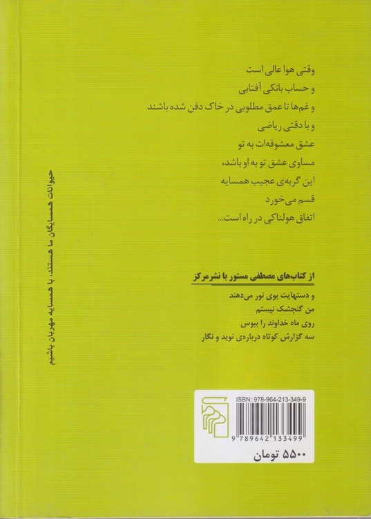 گربه ی همسایه