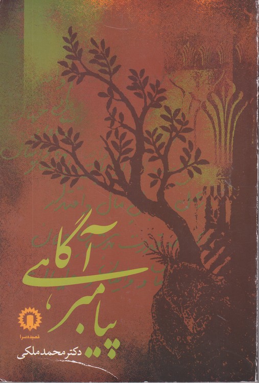 پیامبر آگاهی