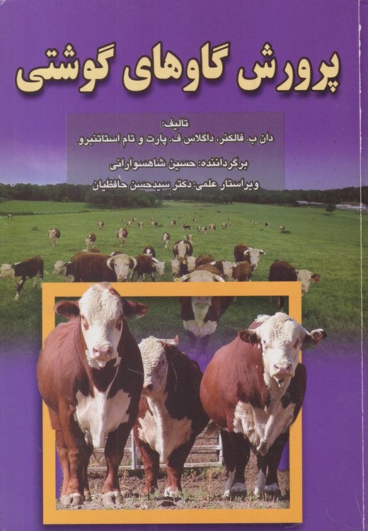 پرورش گاوهای گوشتی