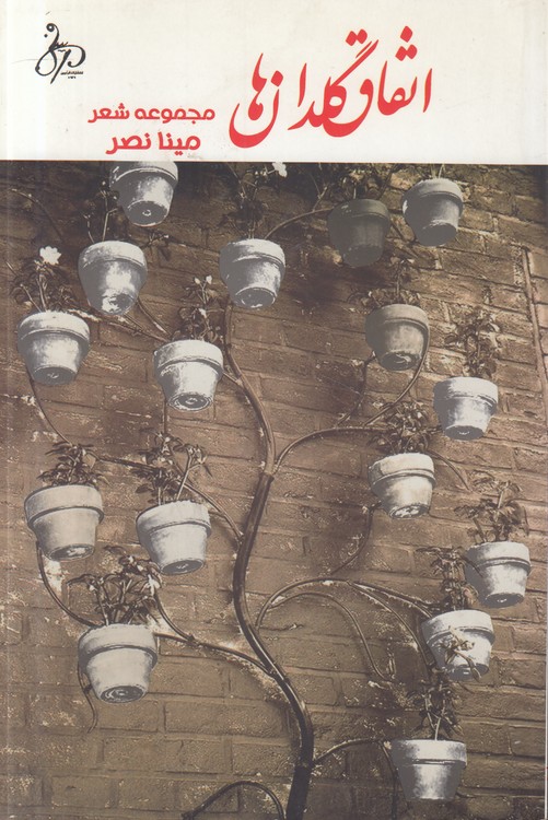 اتفاق گلدان‌ها: مجموعه شعر