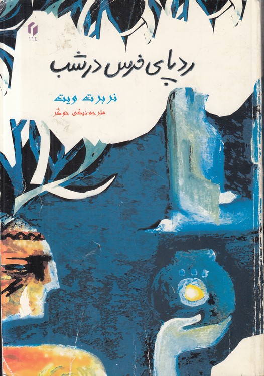 رد پای خرس در شب