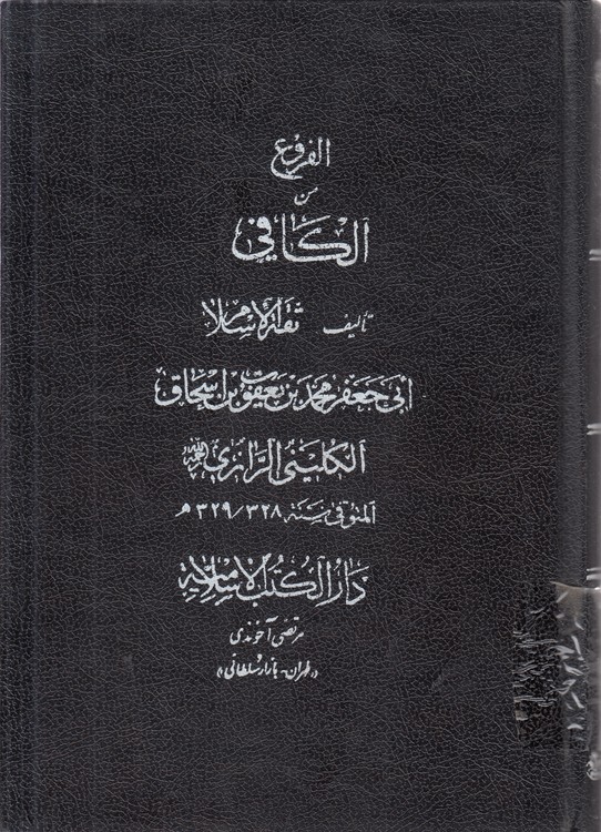 الفروع من الکافی (جلد ۶)
