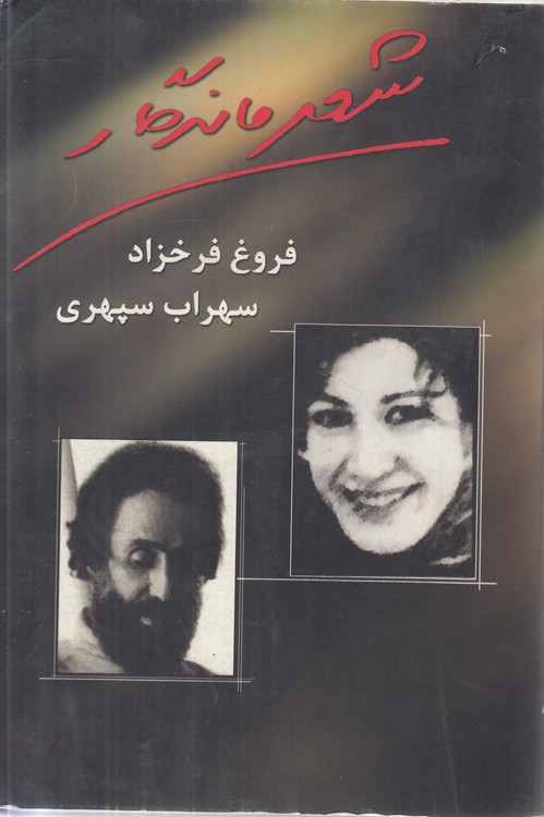 شعر ماندگار